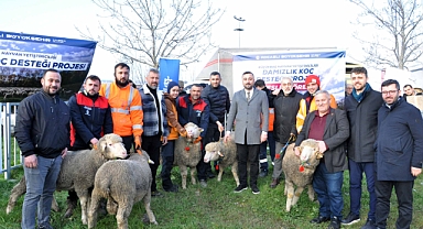 Büyükşehir’den üreticilere damızlık koç desteği