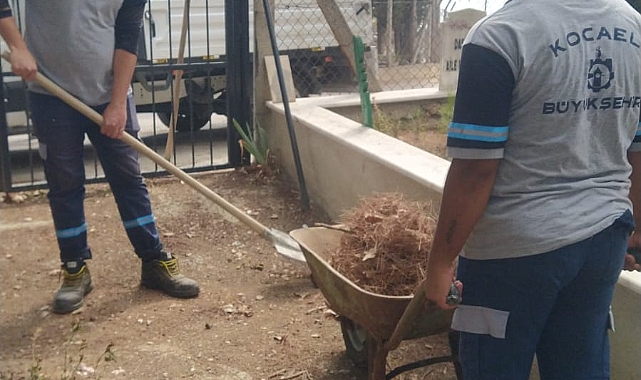 Mezarlıklar, Büyükşehir’le pırıl pırıl